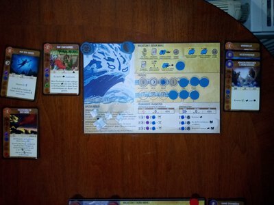 17031731323802576102755619607173.jpg