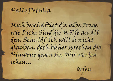 Orfen_BriefWolf_01.jpg