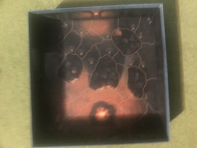 IMG_0892.jpeg