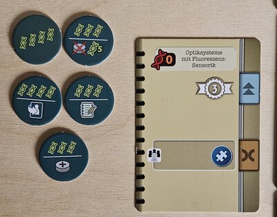 20260731_075013.jpg